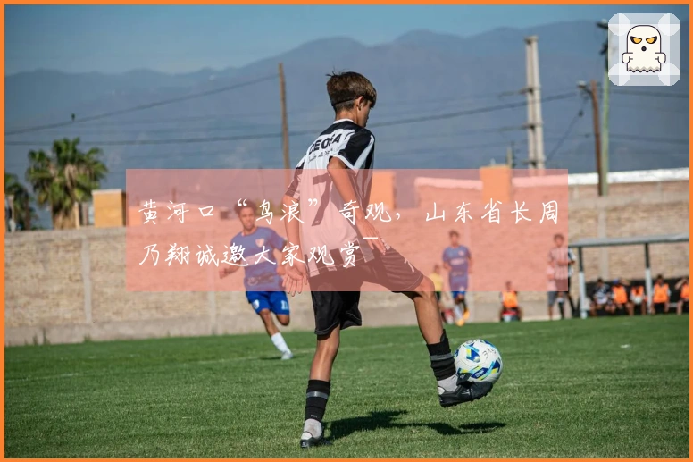 黄河口“鸟浪”奇观，山东省长周乃翔诚邀大家观赏~