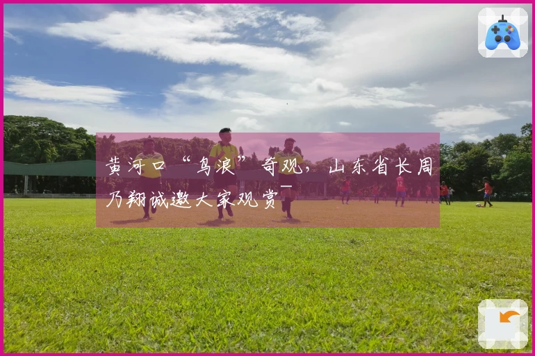 黄河口“鸟浪”奇观，山东省长周乃翔诚邀大家观赏~