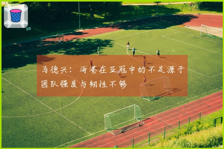 马德兴：海港在亚冠中的不足源于团队强度与韧性不够